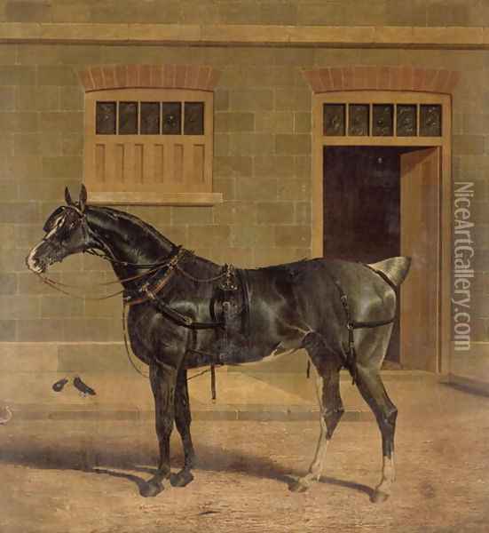 A Carriage Horse in a Stable Yard Oil Painting - John Frederick Herring Snr