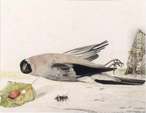 A Bullfinch And A Beetle Oil Painting - Rochus Van Veen