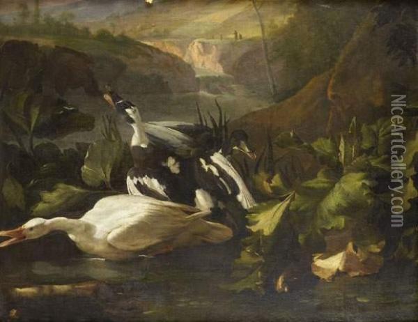 Canards Au Bord De La Riviere Oil Painting - Johannes Hermans