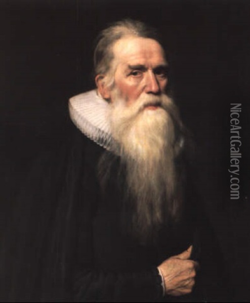 Portrait Of A Bearded Man Oil Painting - Michiel Janszoon van Mierevelt
