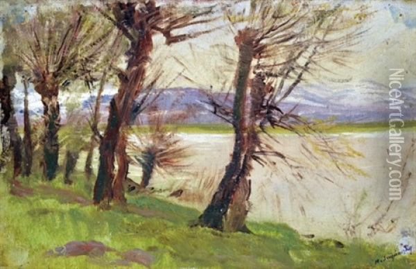Willow Trees On The Coast Oil Painting - Laszlo Mednyanszky