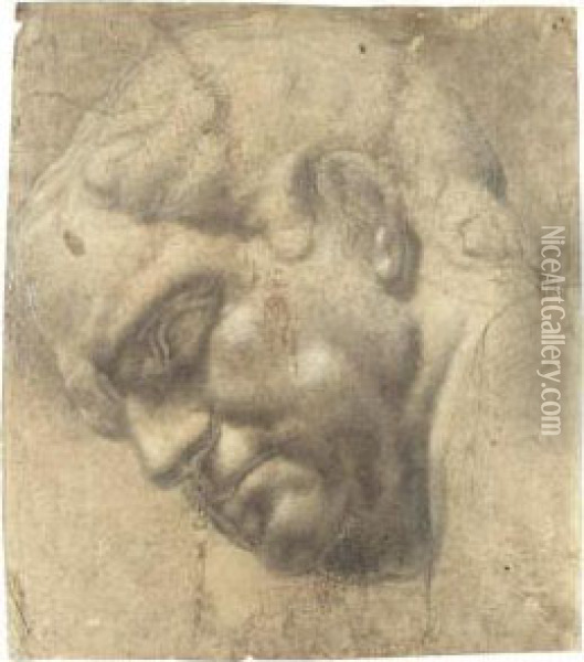 Head Of Vitellius Oil Painting - Ambrogio Giovanni Figino
