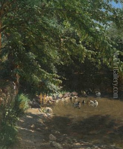 Sunny Afternoon At A Pond Oil Painting - Viggo Pedersen