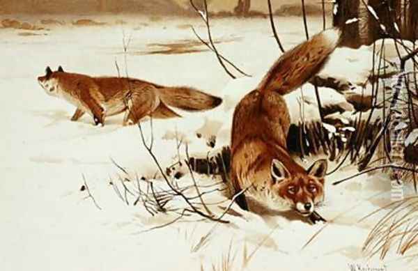 Fox Oil Painting - Wilhelm Kuhnert