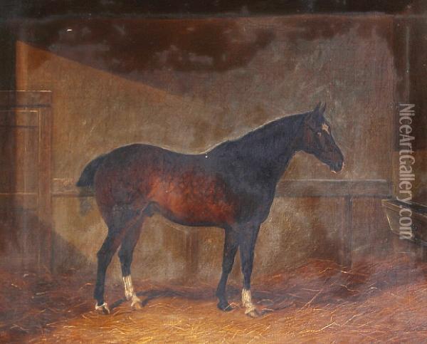 'dobbin' - A Dappled Chestnut Hunter In Astable Oil Painting - Henry Frederick Lucas-Lucas