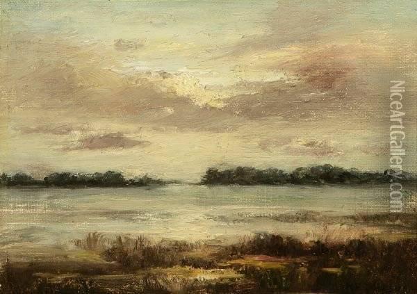 Atmospheric Marsh Oil Painting - Frederick William Jackson