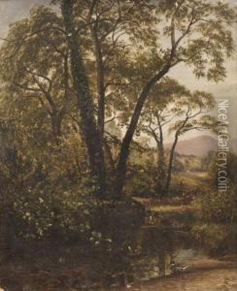 Wooded River Landscape With Ducks Oil Painting - James Richard Marquis