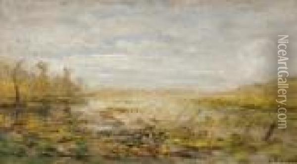 Marais Dans Les Dombes Oil Painting - Louis Hilaire Carrand