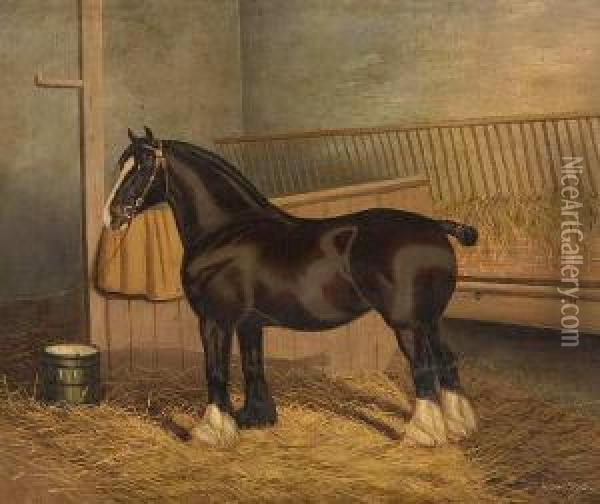 The Shire Horse 'queen Of Shires' In Astable Oil Painting - A. Clark