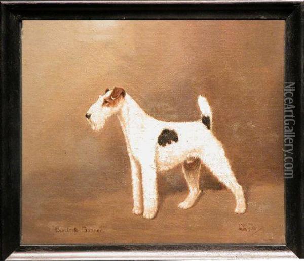 'burdeston Banker', A Wirehaired Fox Terrier Oil Painting - William Lucas