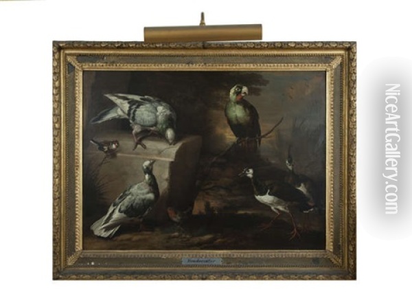 Exotic Birds In A Landscape Oil Painting - Francis Barlow