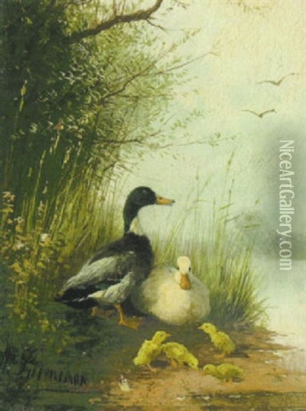 Erpel, Ente Und Kuken Am Seeufer Oil Painting - Otto Scheuerer