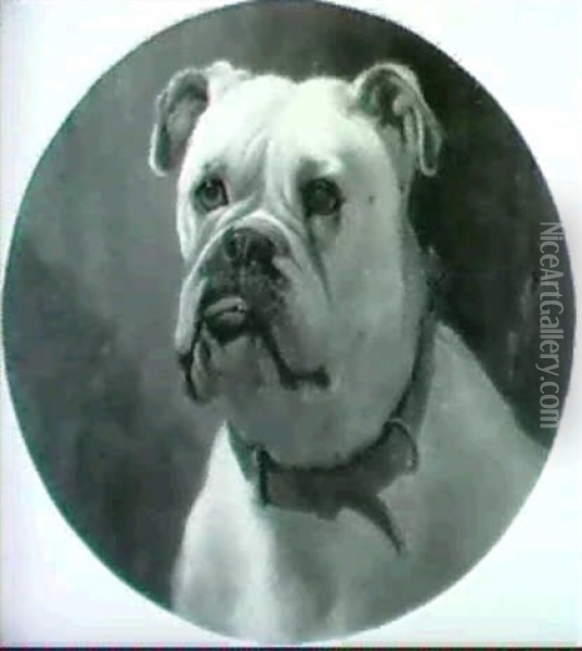 Portrait Of The Champion English Bulldog 
