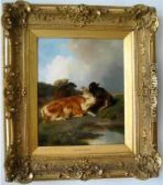 Ruhende Schafe Und Kalber Am Ufer Oil Painting - Anton Braith