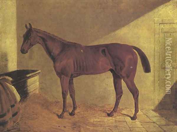 Margrave Winner St Leger 1834 Oil Painting - John Frederick Herring Snr