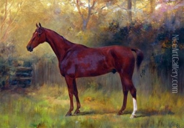 Portrait Of Randy - Horse Owned By Mr. Joseph Storey Oil Painting - Thomas Blinks