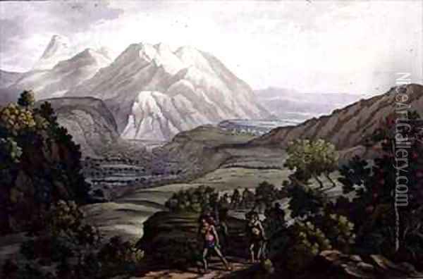 Parola Park and the Andes Mountains Bolivia Oil Painting - Gerolamo Fumagalli