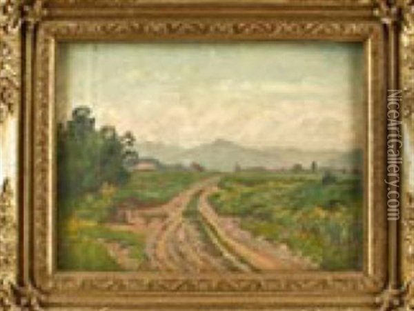 Feldweg In Voralpiner Landschaft Oil Painting - Fanny Assenbaum