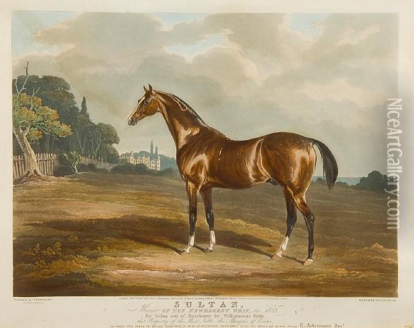 Sultan, Winner Of The Newmarket Whip Oil Painting - John Jnr. Ferneley