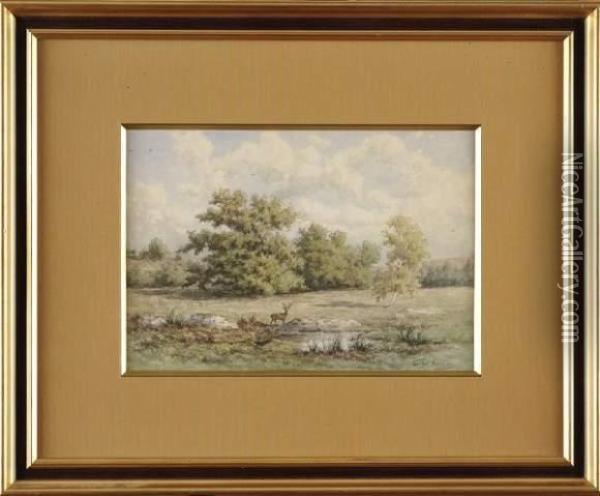 Le Repos Du Cerf Dans La Prairie Oil Painting - Jean-Baptiste-Georges Gassies