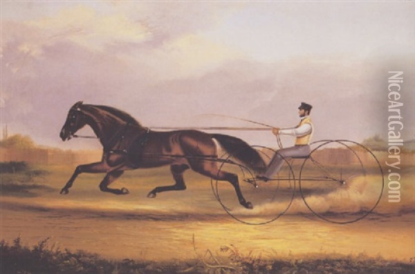 A Fast Trotter Oil Painting - Thomas K. Zandt
