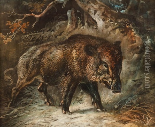Wildschwein Im Unterholz Oil Painting - August Schleich
