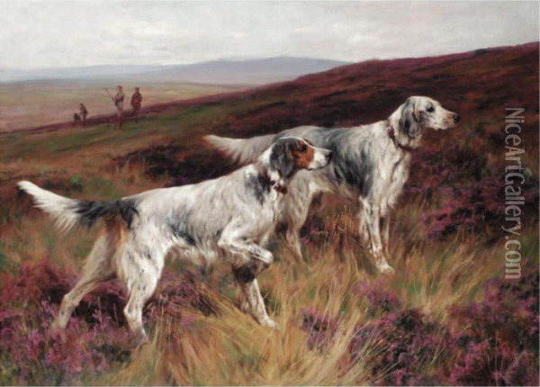 Two Setters On A Grouse Moor Oil Painting - Arthur Wardle