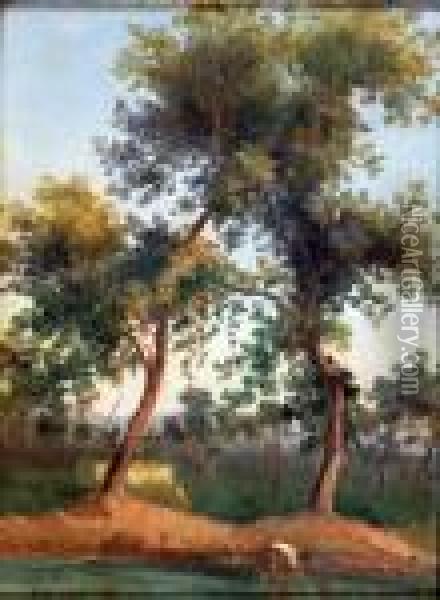 Paesaggio Olio Sucartone Cm 35.5x25.5 Firmato In Basso A Sinistra:d.ammirato Oil Painting - Domenico Ammirato