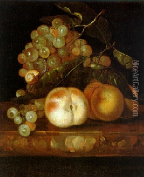 Stilleben Mit Fruchten Auf Einer Tischplatte Oil Painting - Willem Van Aelst