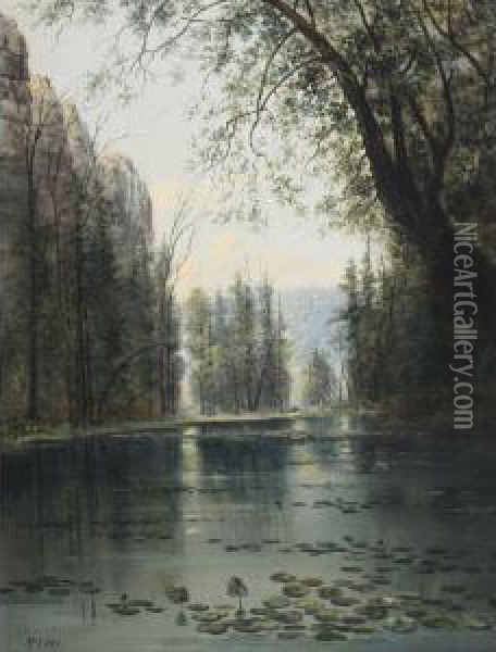 Lily Pond Oil Painting - Henry Nesbitt Mcevoy