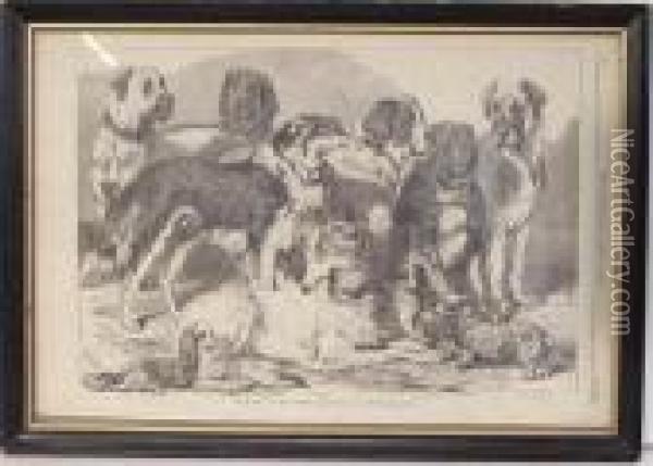 Prize Dogs In The National Dog Show In Islington Oil Painting - Samuel John Carter