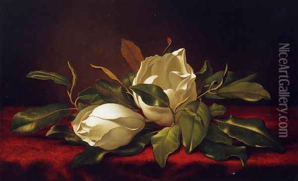 Magnoliae Grandeflorae Oil Painting - Martin Johnson Heade