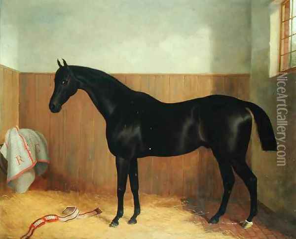 Tommy, Portrait of a Horse, c.1870s Oil Painting - John Paul