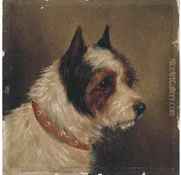 The head of a terrier Oil Painting - George Armfield