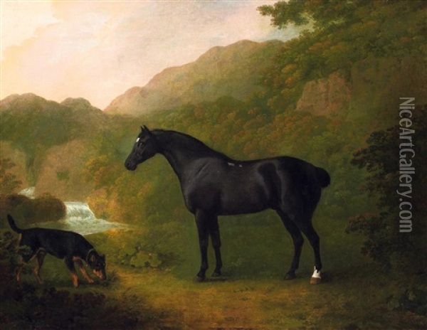Pferdeportrat Mit Einem Jagdhund Oil Painting - John Boultbee