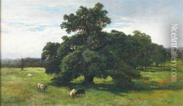 Cattle Grazing Under A Tree Oil Painting - Arthur Anderson Fraser