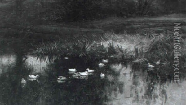 Ducks In A Stream, Forest Of Birse Oil Painting - Joseph Farquharson