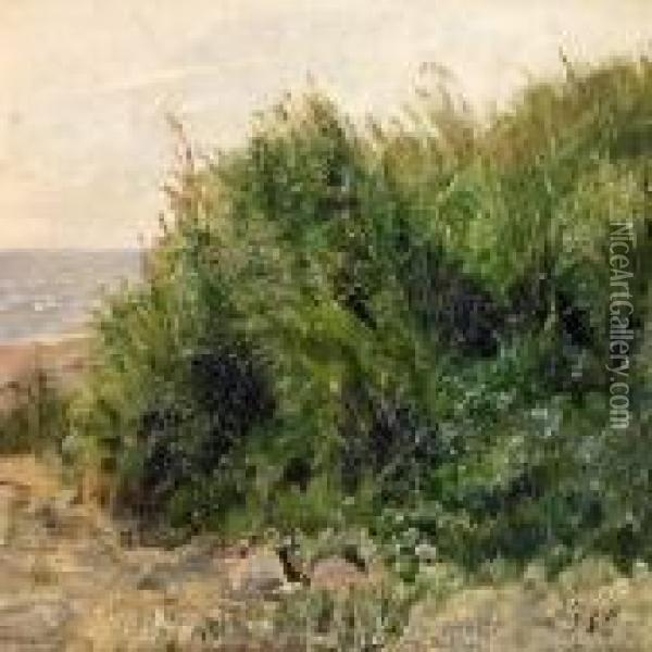 Scenery From The Beach, In The Foreground Stones And Rush Oil Painting - Janus Andreas La Cour
