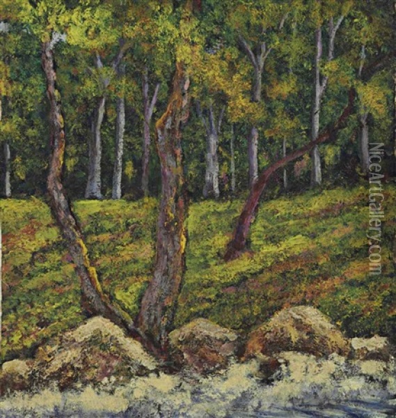 El Bosque Oil Painting - Joaquin Clausell