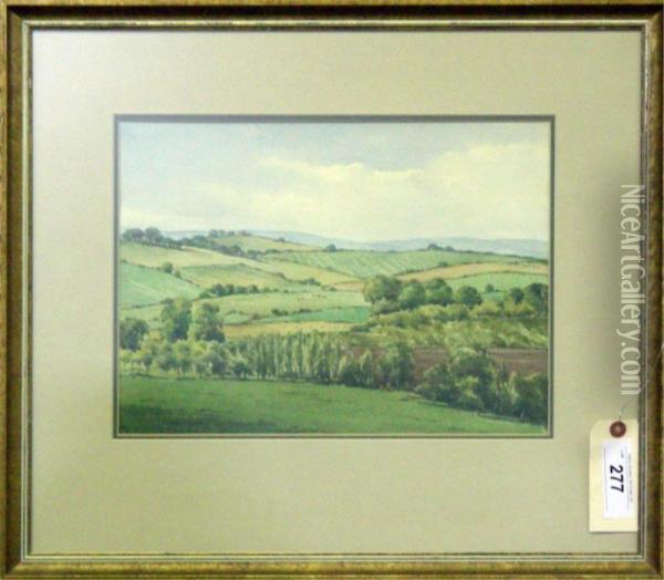 Farmland, Brede Valley, Sussex Oil Painting - Ernest Burne Jones