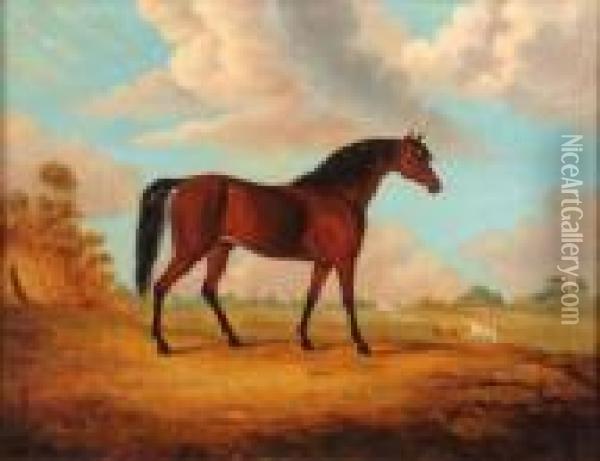 Horse In Landscape Oil Painting - John Snr Ferneley