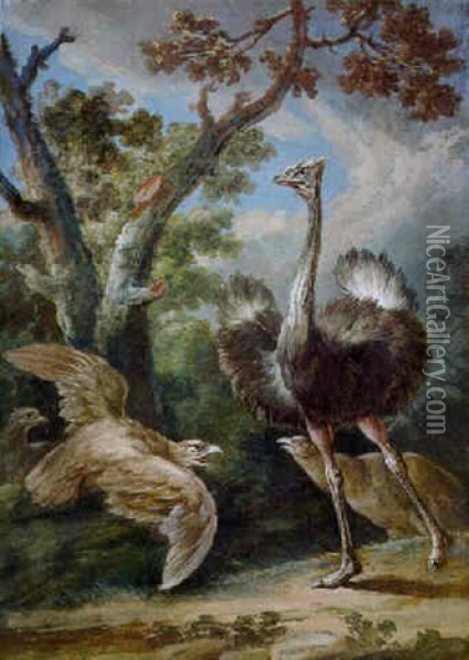 An Ostrich And Three Eagles In A Landscape Oil Painting - Pieter Boel