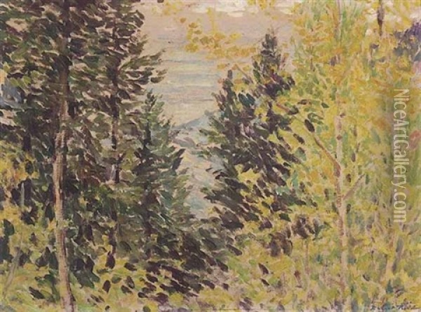 In The Woods, Above Colorado Springs Oil Painting - Robert Reid
