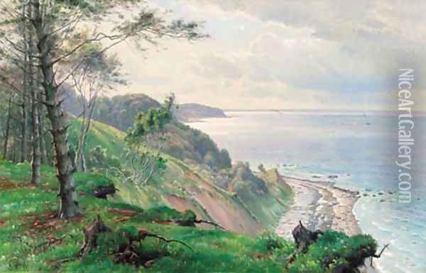 The Danish coast Oil Painting - Johannes Boesen