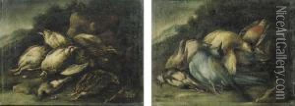 Cacciagione Di Penna Con Un Pettirosso Oil Painting - Baldassare De Caro