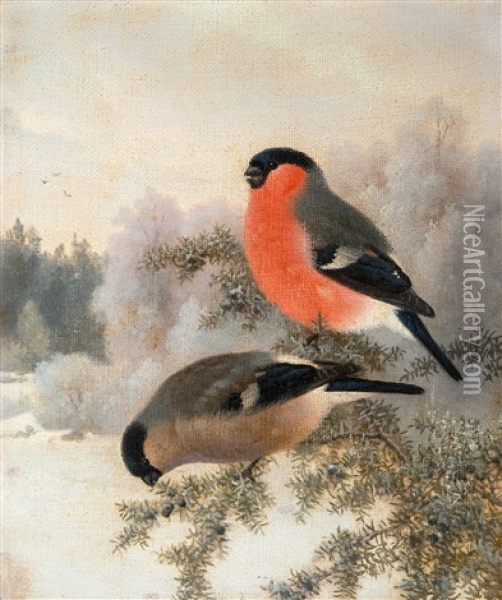 Bullfinches Oil Painting - Ferdinand von Wright