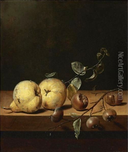 Quinces And Medlars On A Table Ledge Oil Painting - Jan Jansz. Van De Velde