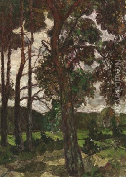 Blick Ins Aachener Land Mit Grosem Erlenbaum Oil Painting - August Von Brandis