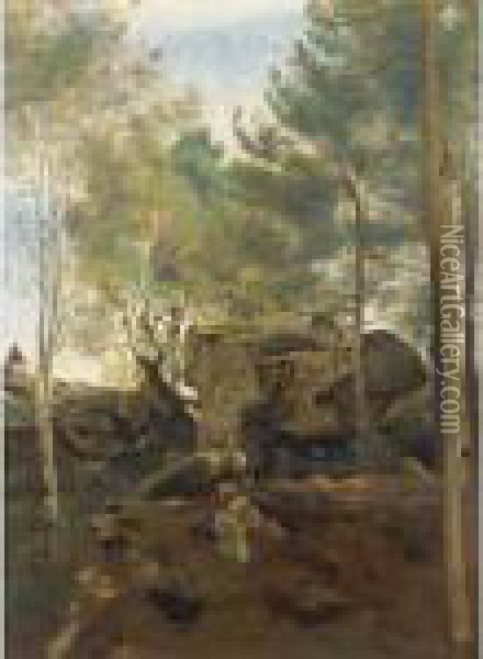 Fontainebleau. Pins Et Bouleaux Dans Les Rochers Oil Painting - Jean-Baptiste-Camille Corot