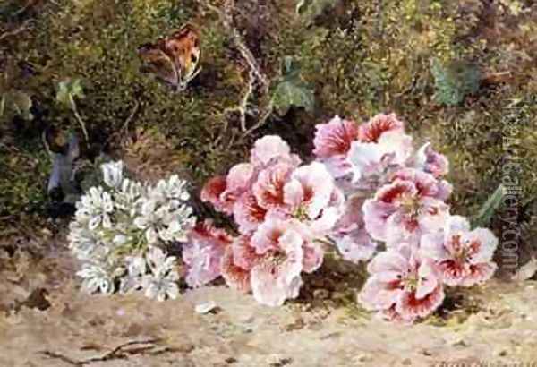 Butterfly and Flowers Oil Painting - John Jessop Hardwick